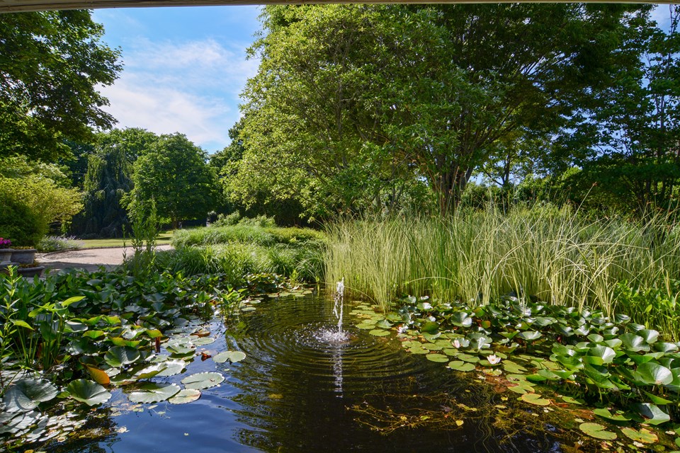 the lily pond and its fountain