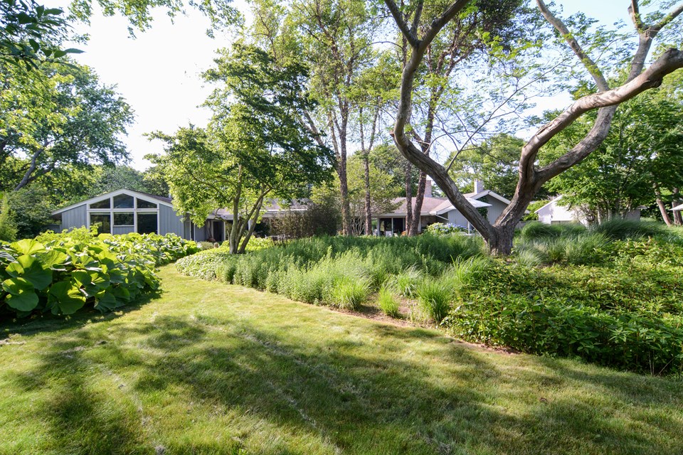 the back of the house from the side yard