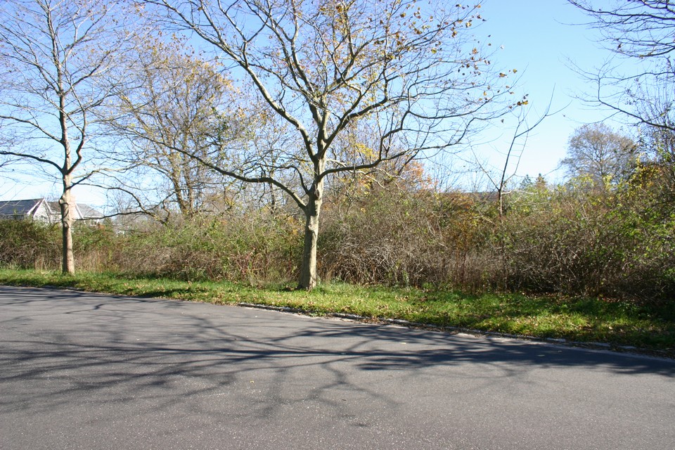 vacant lot in prime community just north of southampton village, this vacant lot has room for a large house and pool. it is .87 of an acre and is located within mill farm subdivision, an established neighborhood.