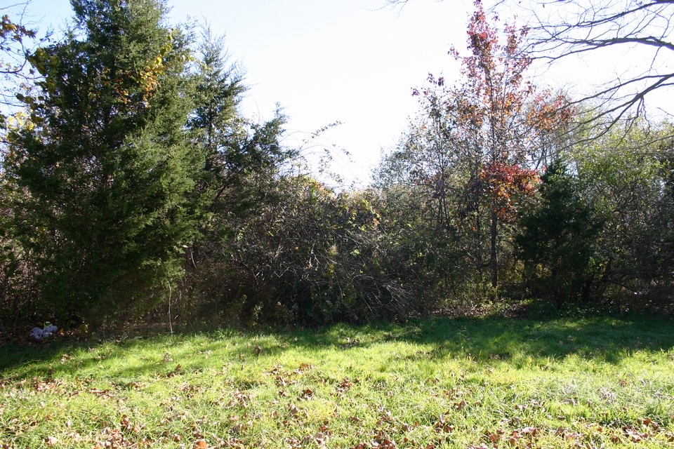 another view of lot
